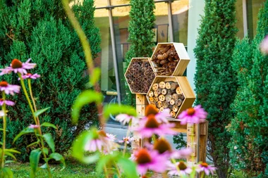 How to make a bug hotel and attract beneficial insects to your garden