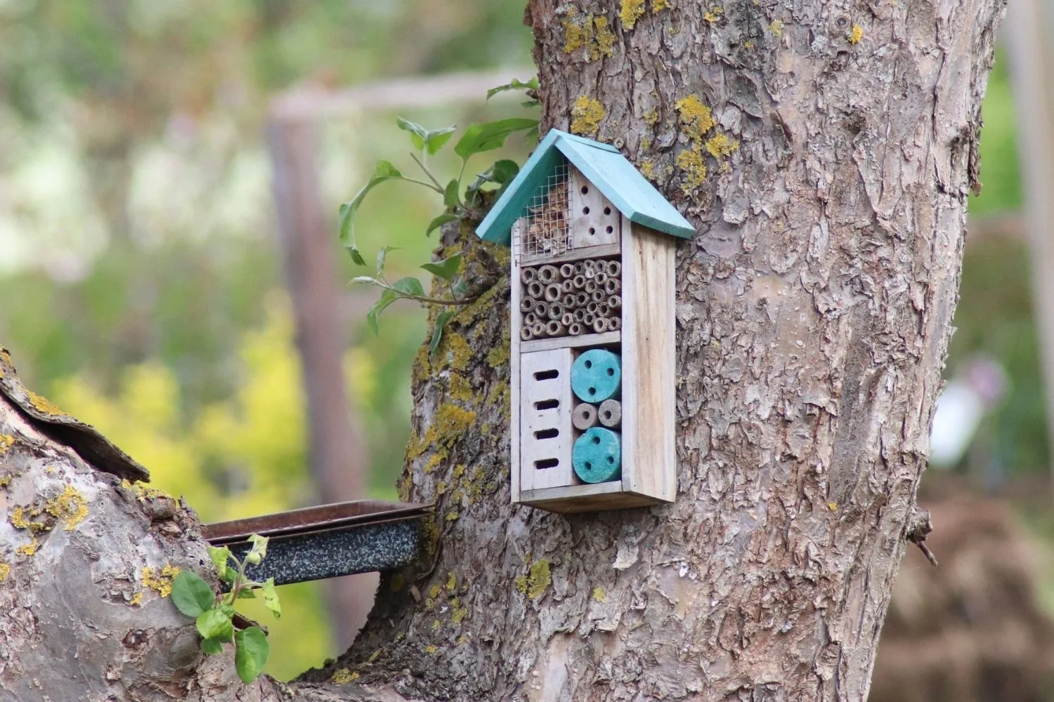 How to make a bug hotel to attract beneficial insects