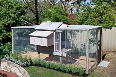 How to make a chicken coop and run