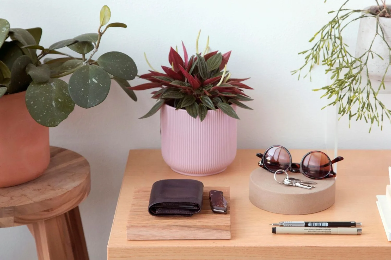 Wallet, keys and sunglasses on top of a hallway table surrounded by indoor plants
