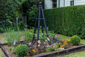 Charlie Albone’s simple DIY for thriving climbing plants