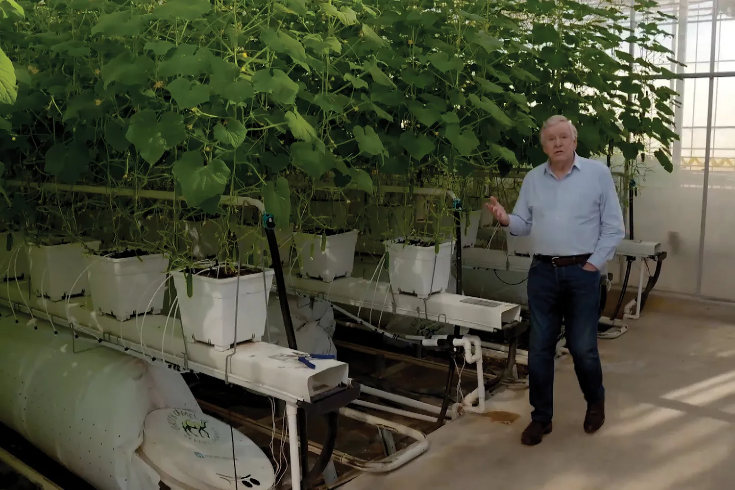 Graham visits organic veg farm Green Camel