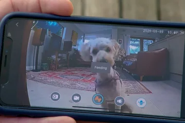 The latest pet tech devices