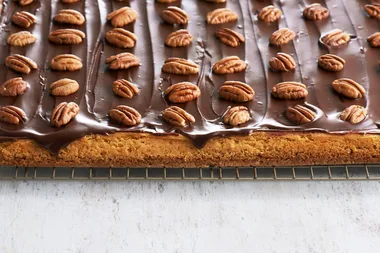 Chocolate Pumpkin Cheesecake