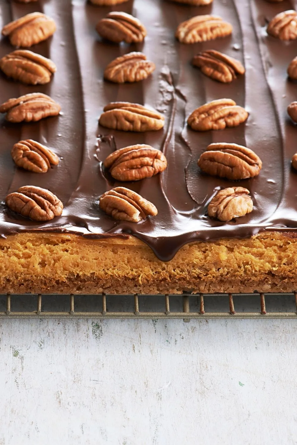 Chocolate Pumpkin Cheesecake