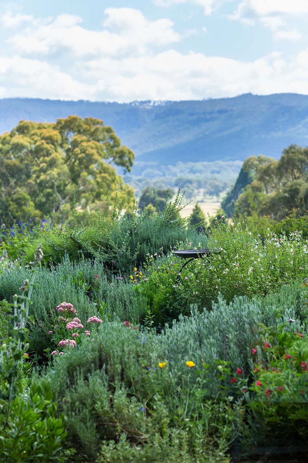 https://www.bhg.com.au/hartvale-little-hartley