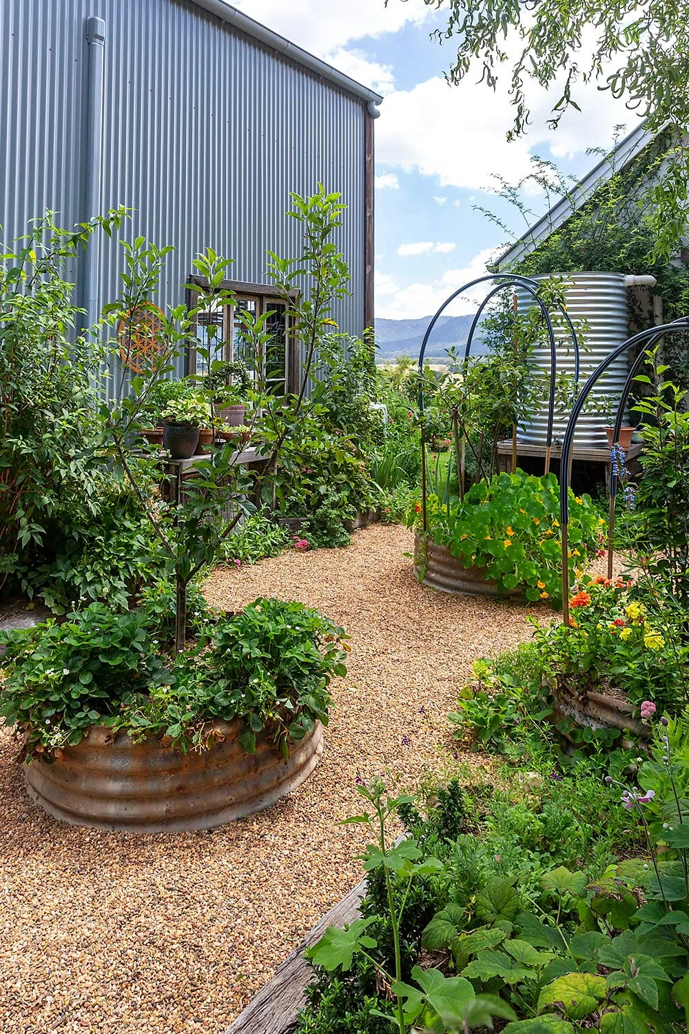 Hartvale garden