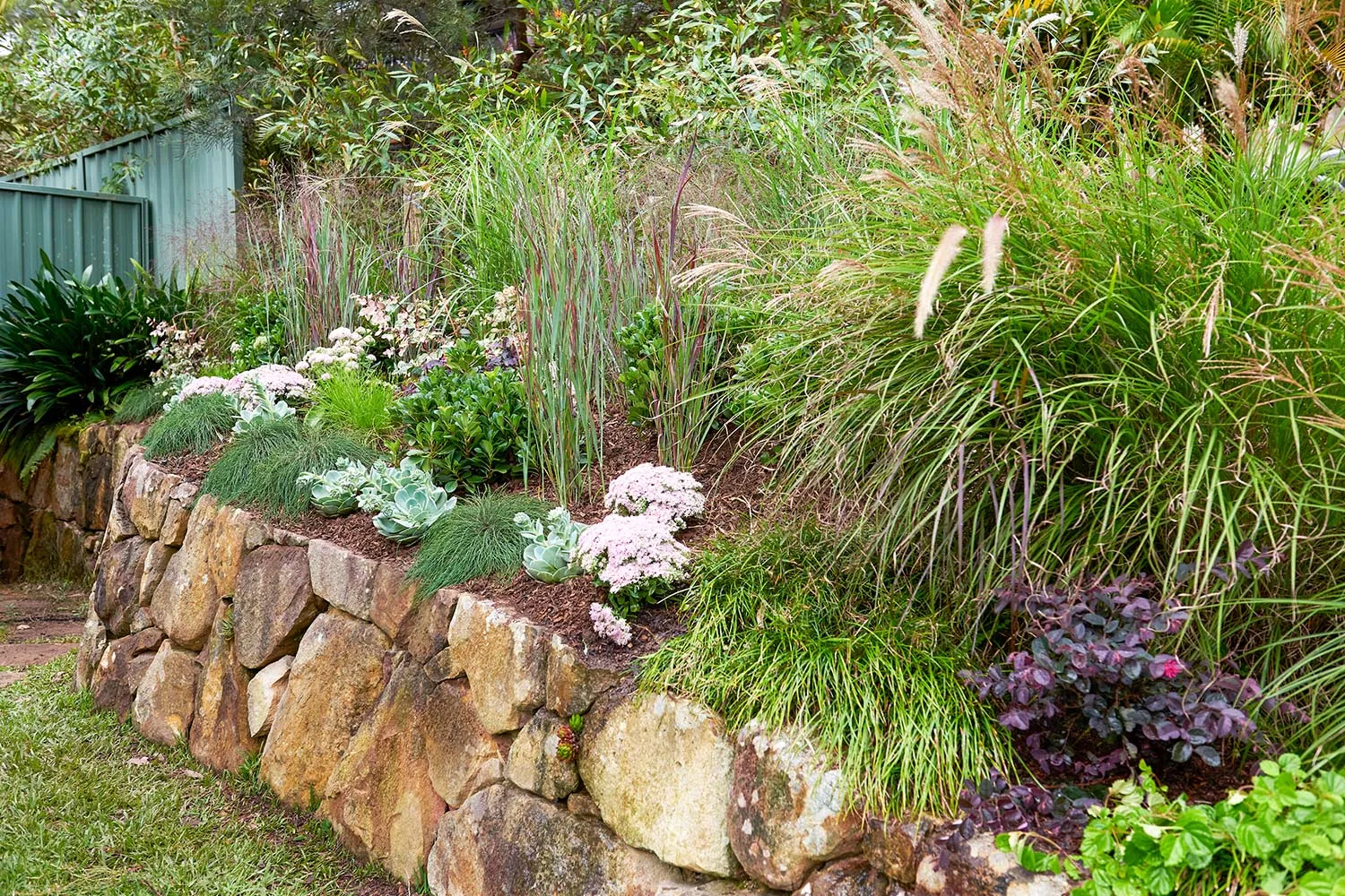 Ornamental grasses