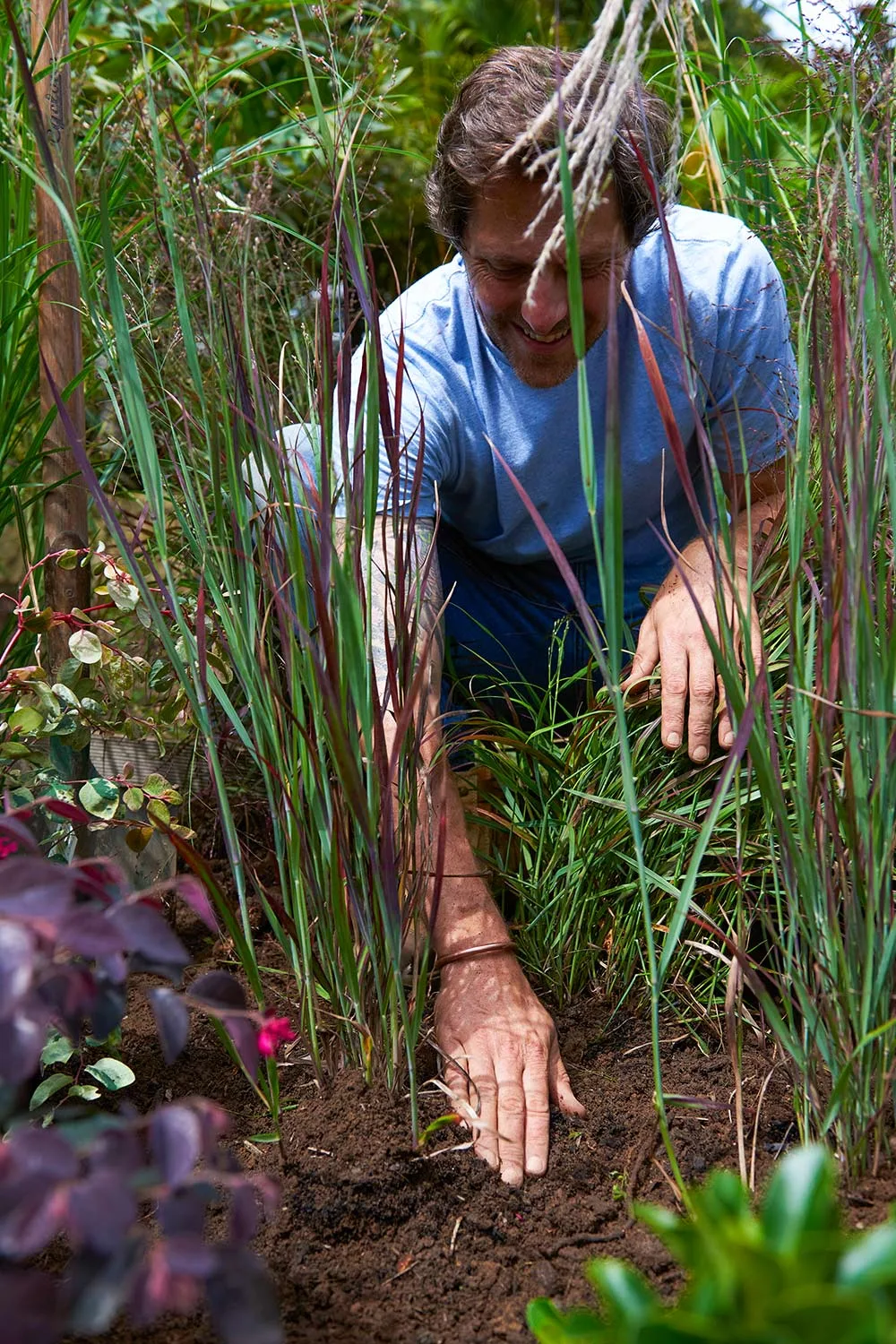 Charlie Albone planting ornamental grass