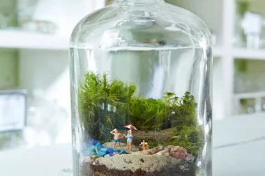 8 terrarium ideas you’ll love