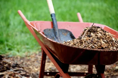 5 types of mulch to keep your garden happy