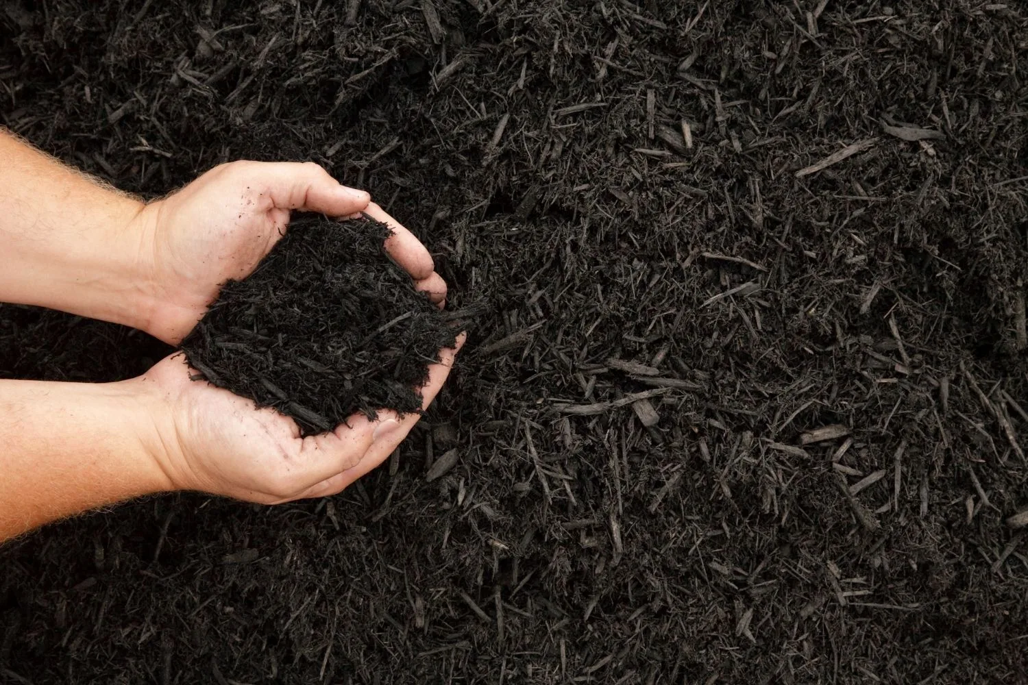 mulch compost