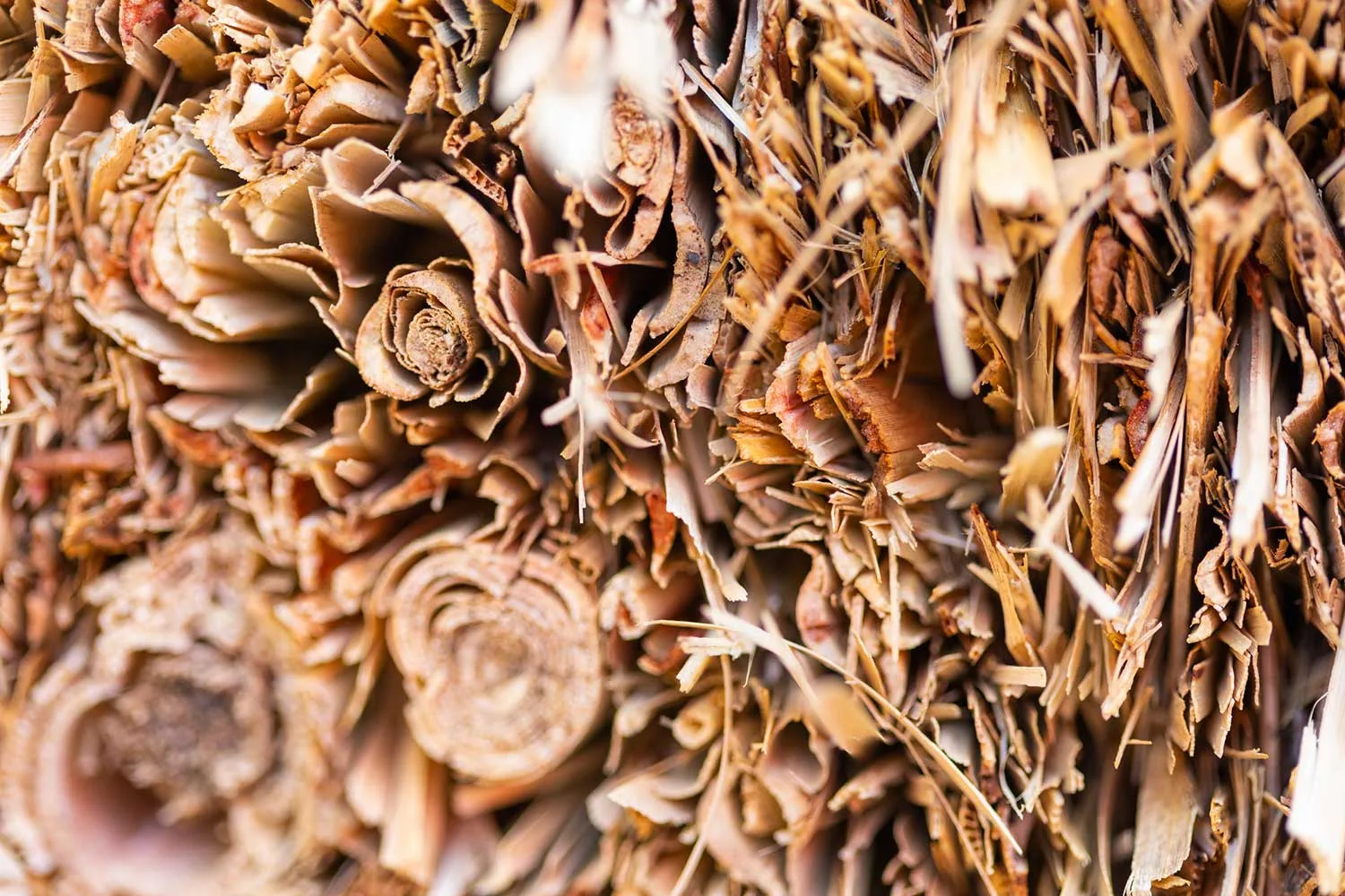 mulch wall