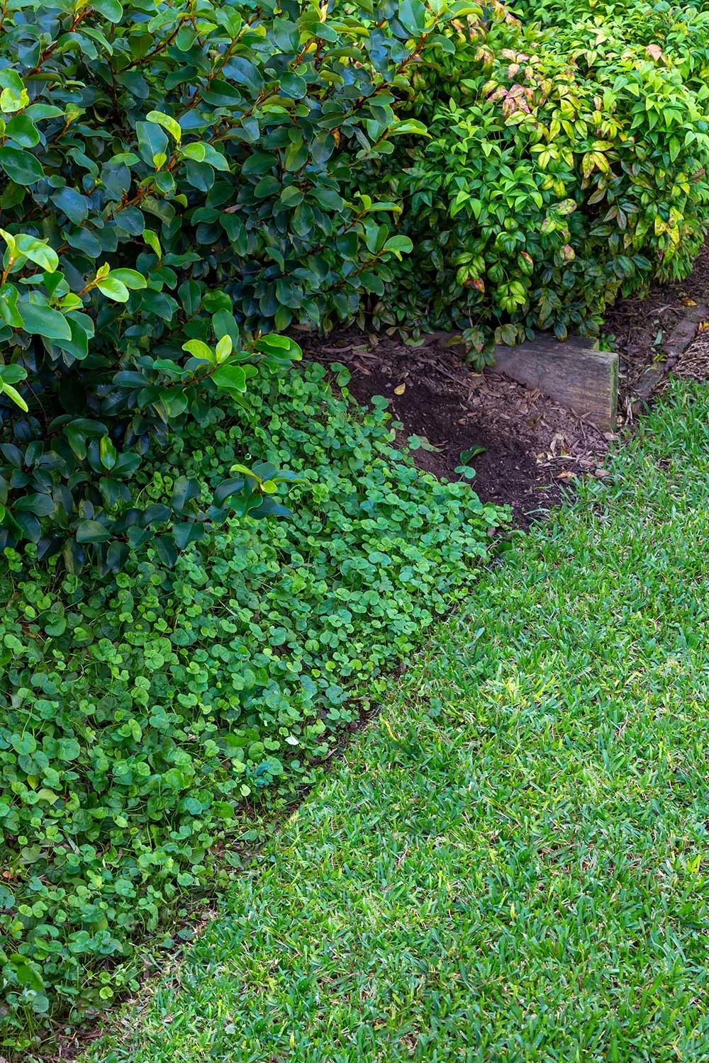 garden edges