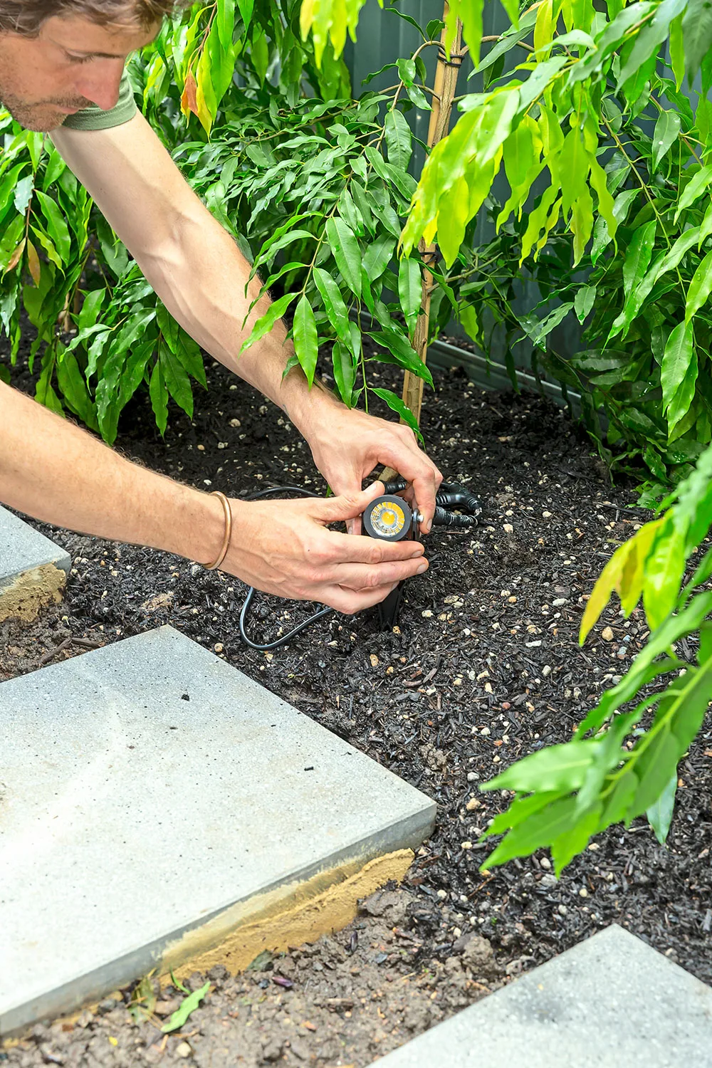 Charlie installing garden lights