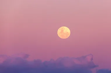 pink moon