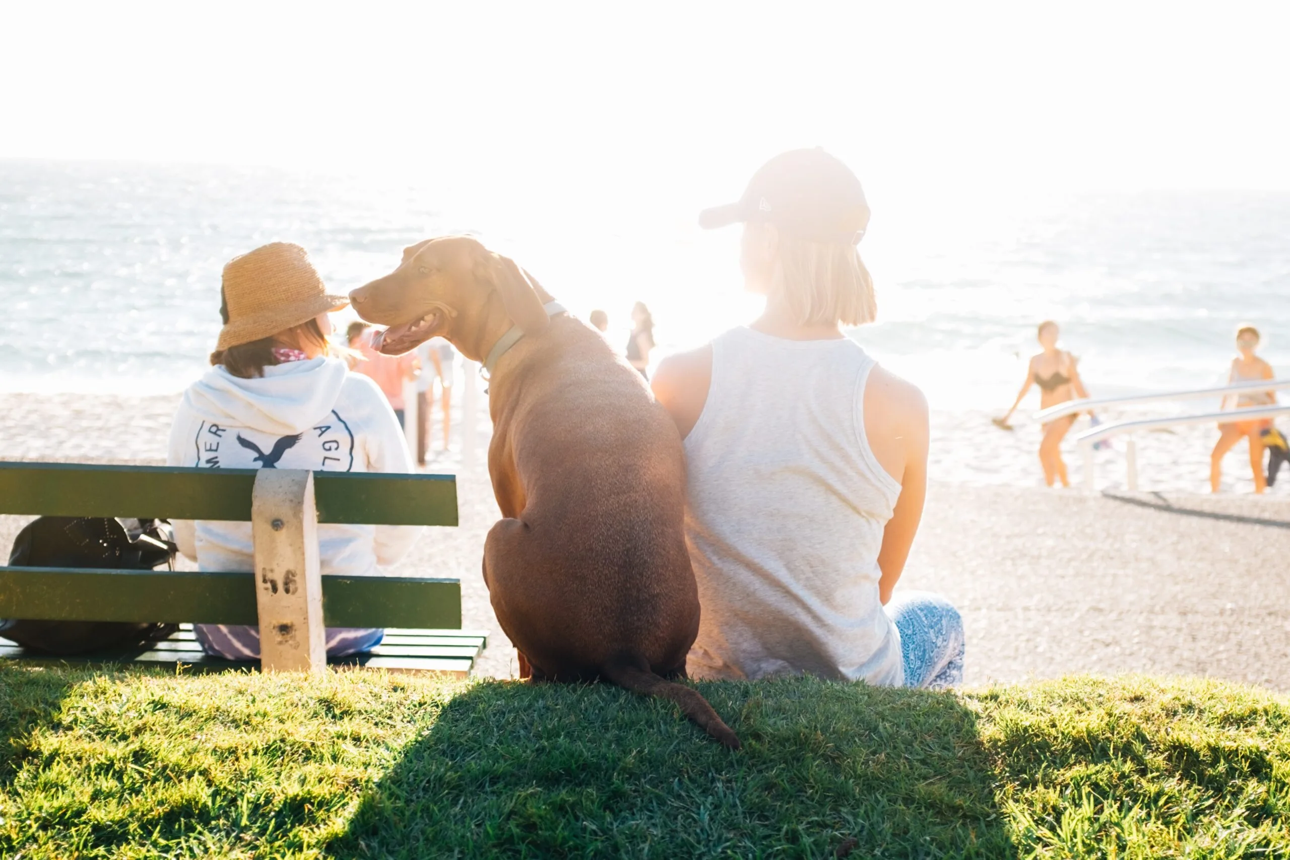 Woman sitting on the beach next to a dog