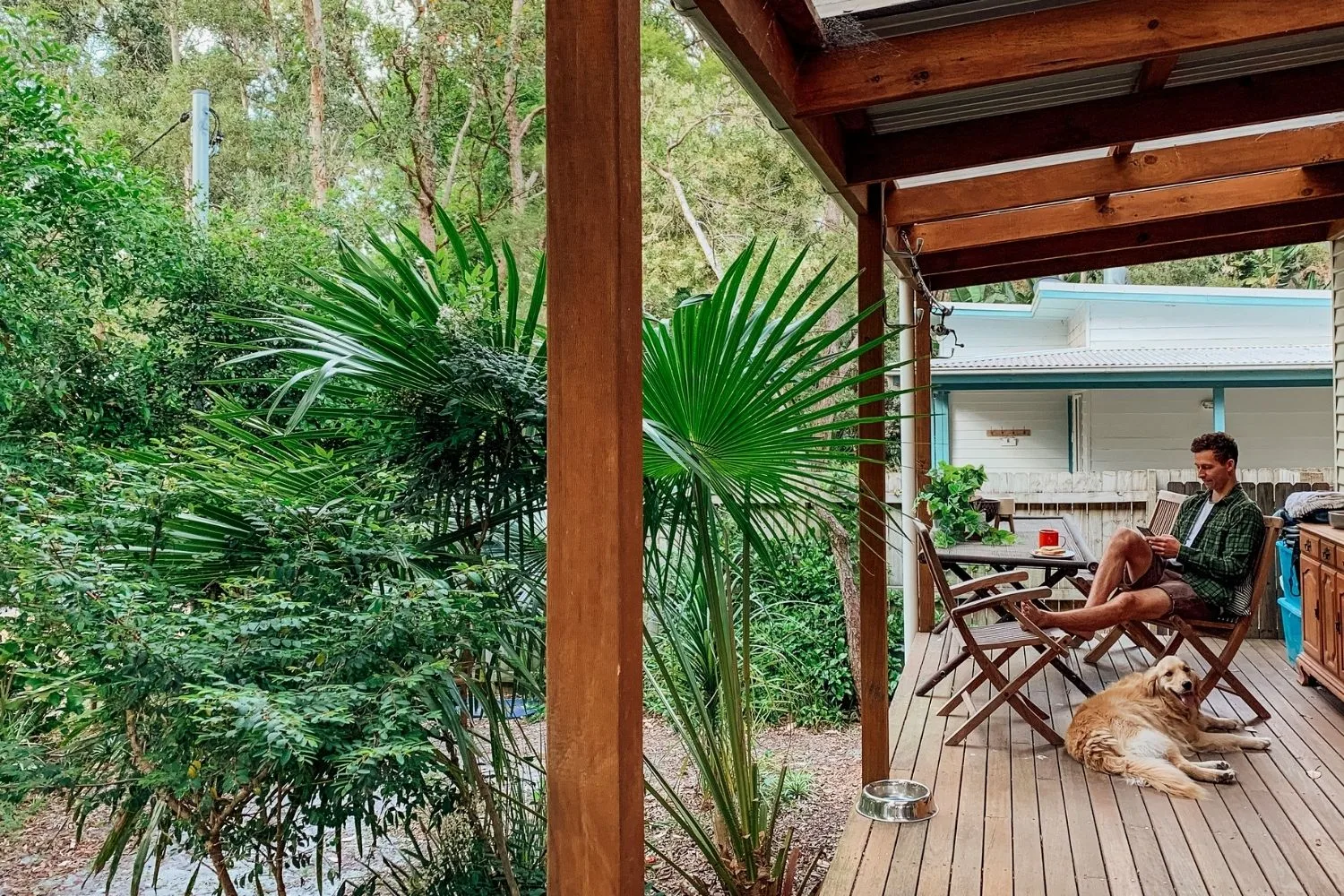Man on verandah with a golden retriever