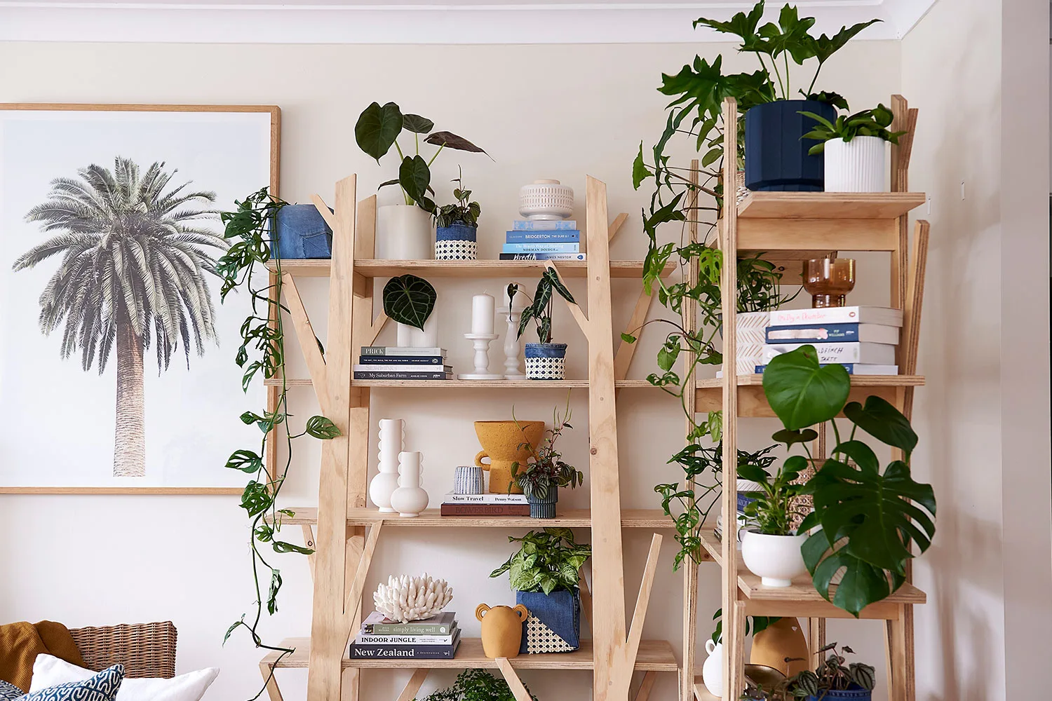 Adam makes easy plywood shelves