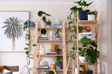 Adam makes easy plywood shelves