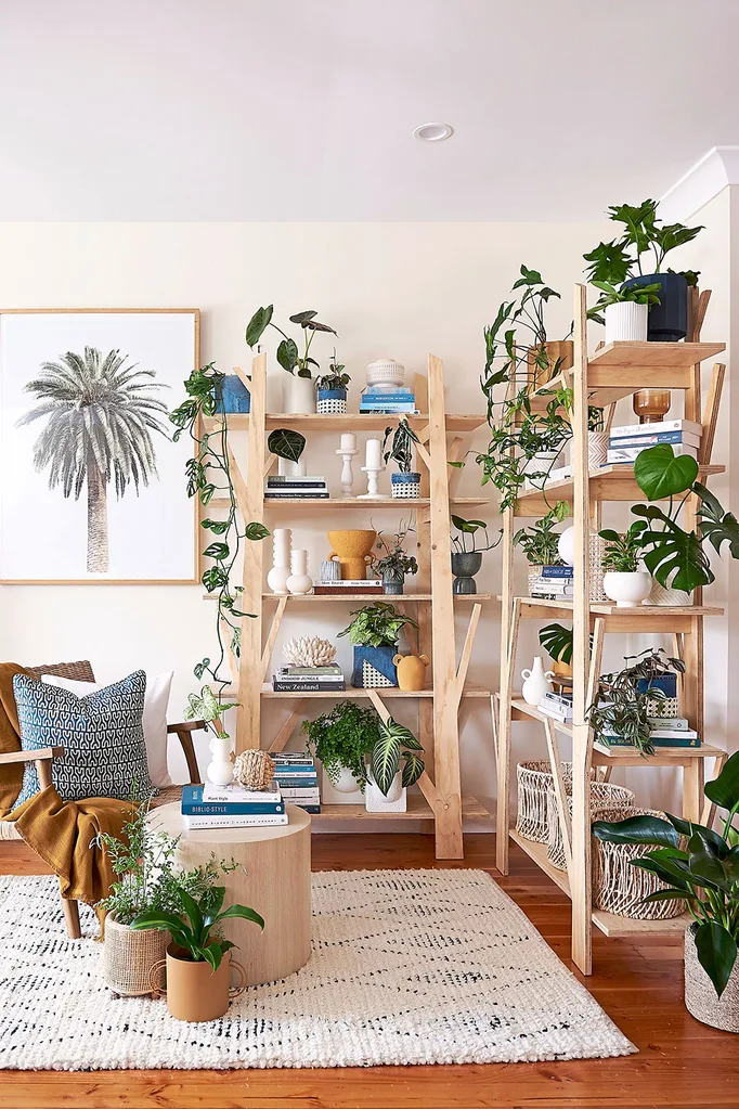 Shelves with indoor plants