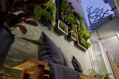 How to hide a brick wall in the garden