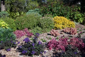 5 ways to keep your garden healthy in winter