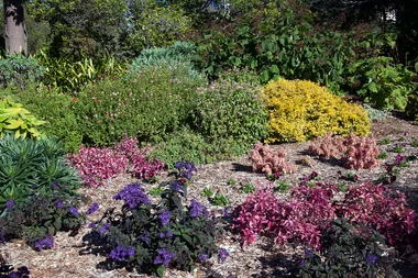 5 ways to keep your garden healthy in winter