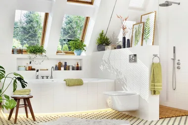 How to remove mildew and mould from the shower
