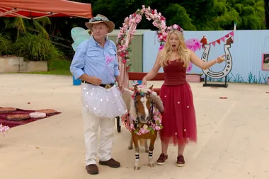 Behind the scenes of a pony party