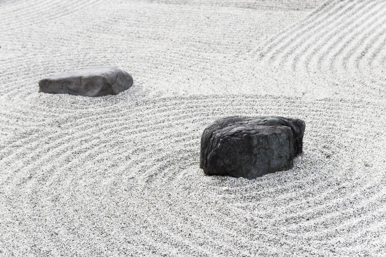 zen garden
