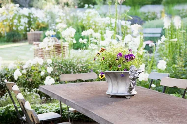 garden pot