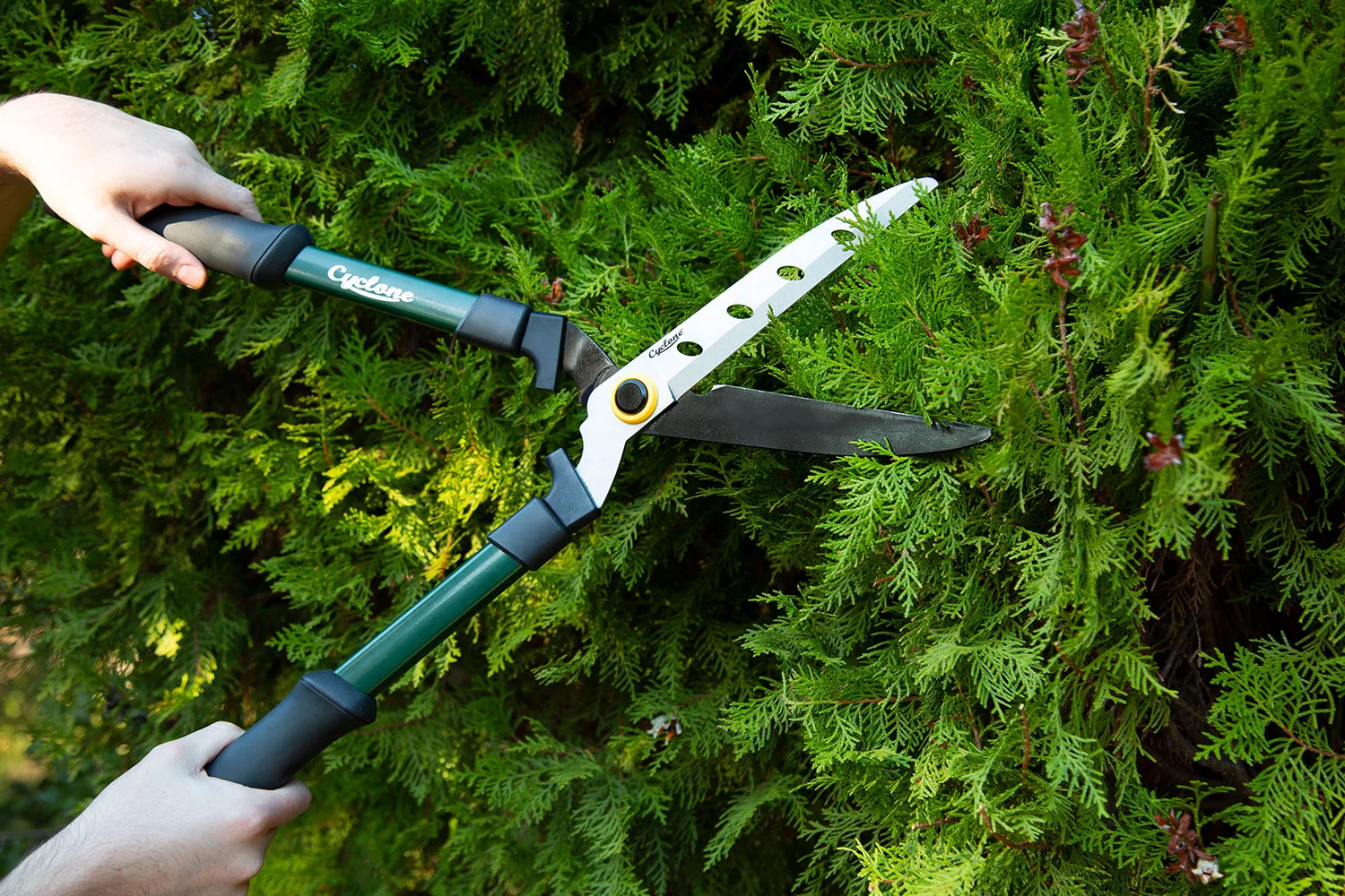Shears trimming a hedge