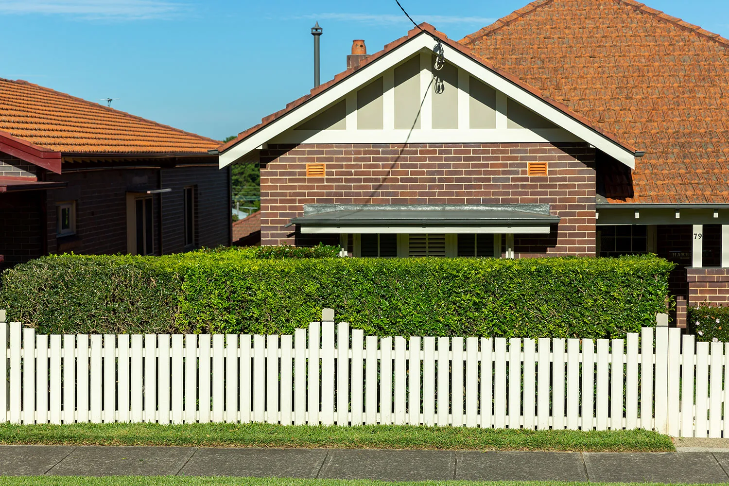 Hedge in front of house