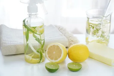 5 eco-friendly pest control solutions