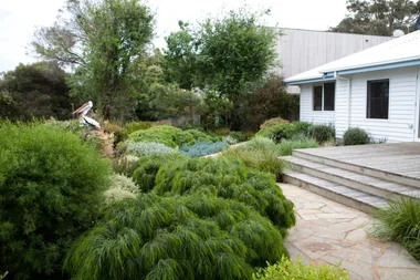 17 expert gardening tips