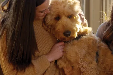 Dr Harry meets a groodle that’s aggressive to other dogs
