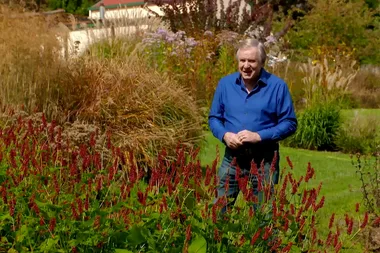Graham visits Wild Meadows garden