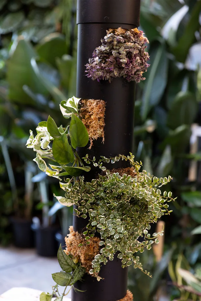 PVC pipe hanging planter