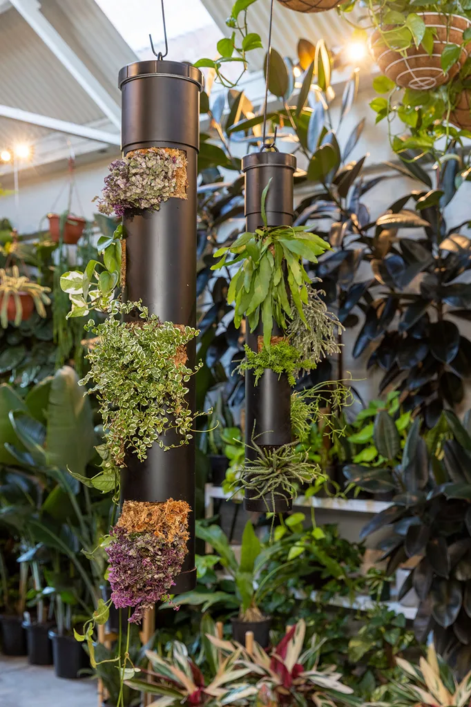 PVC pipe hanging planters