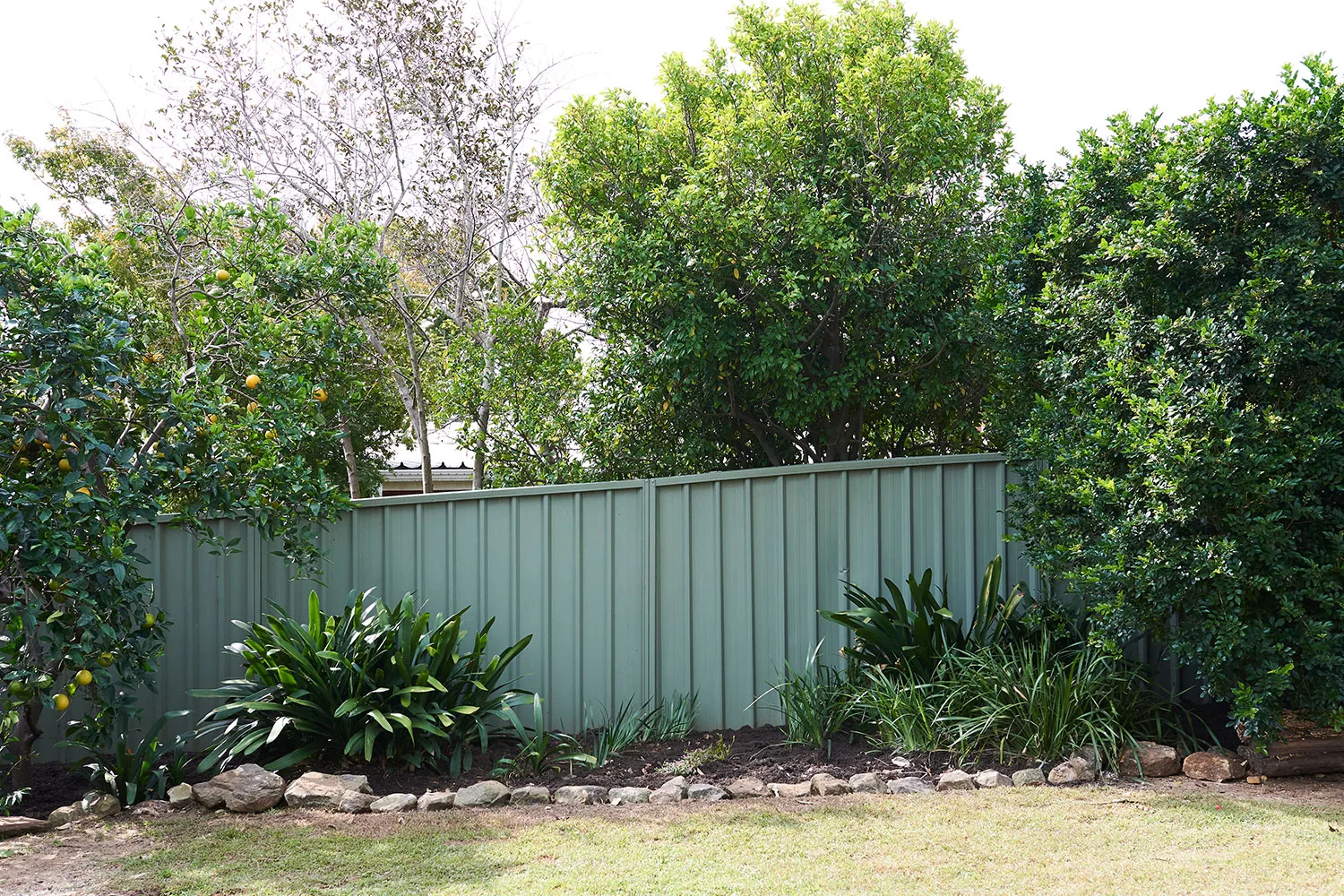 Before garden trellis