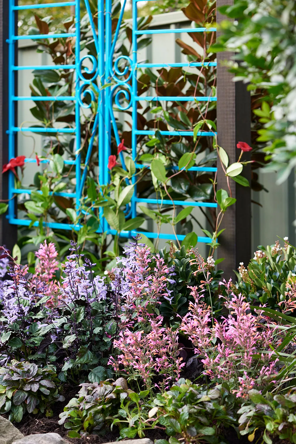 Garden trellis with plants