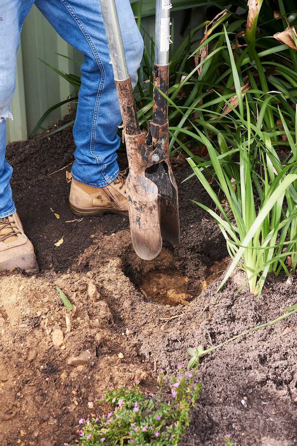 Charlie Albone using post hole shovel