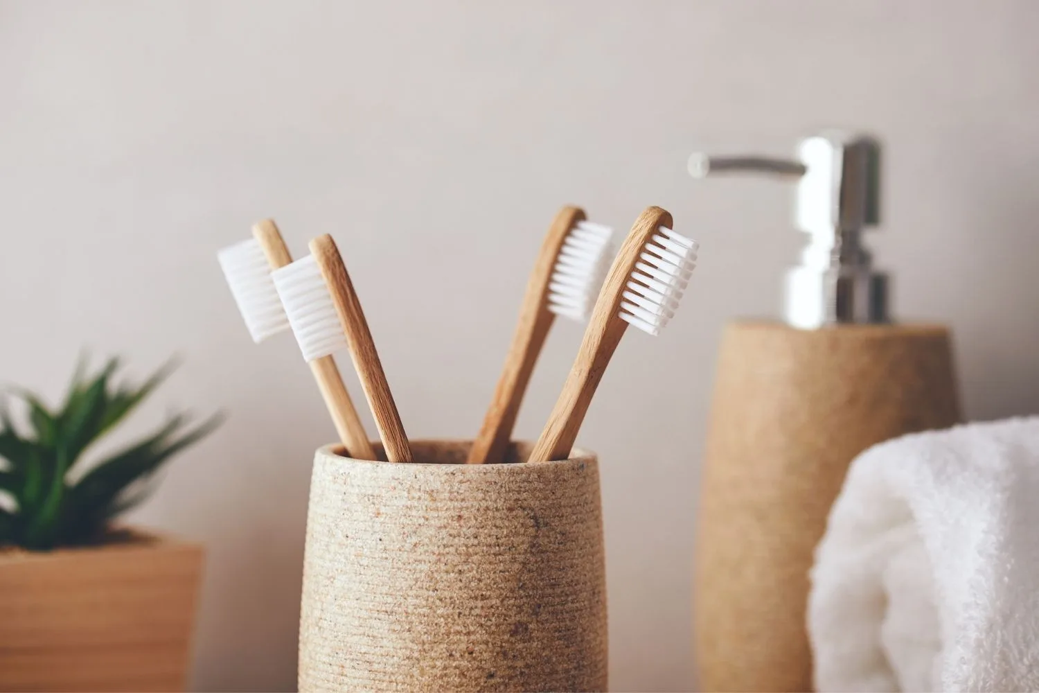 tooth brush