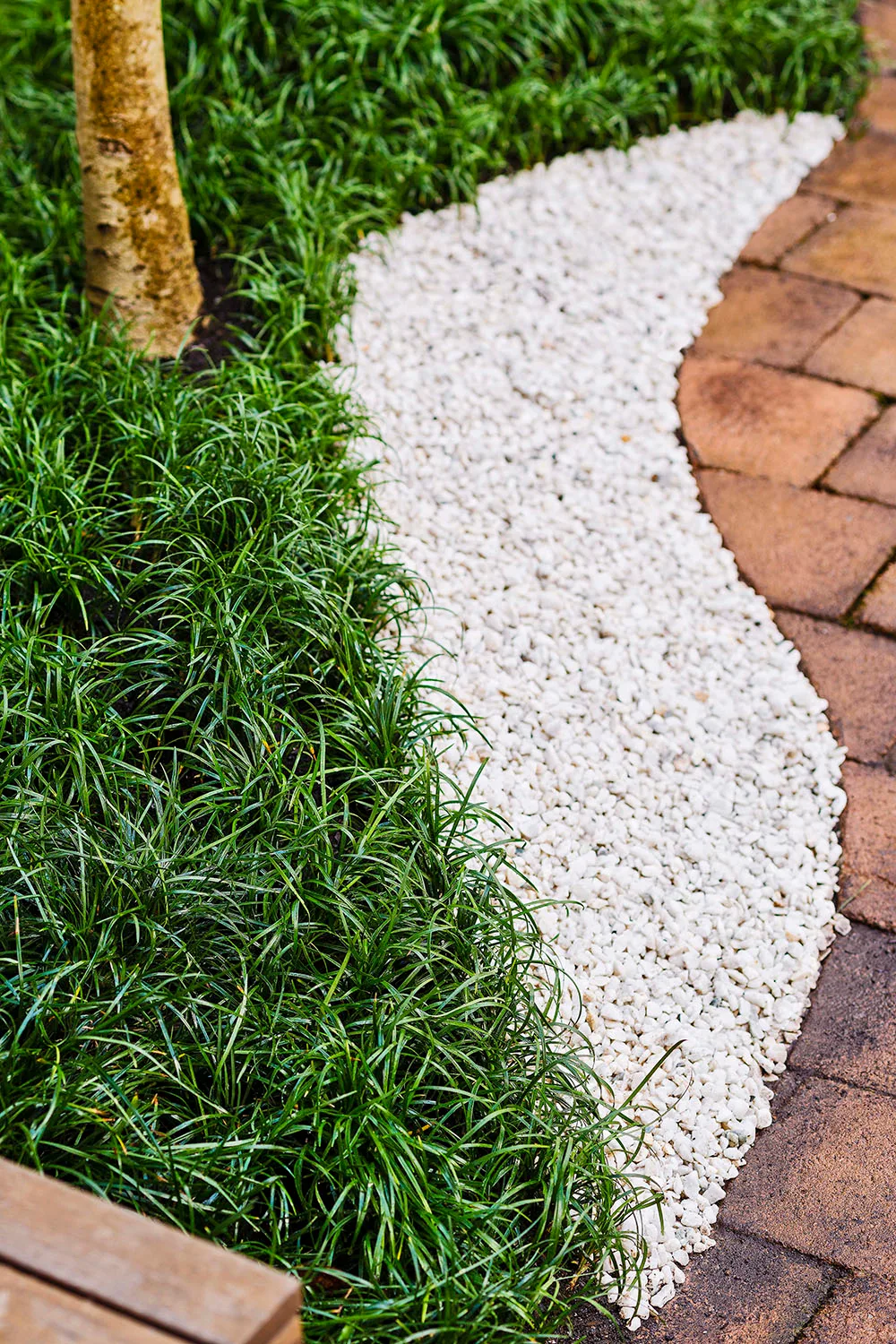 Gravel pathway in zen inspired garden