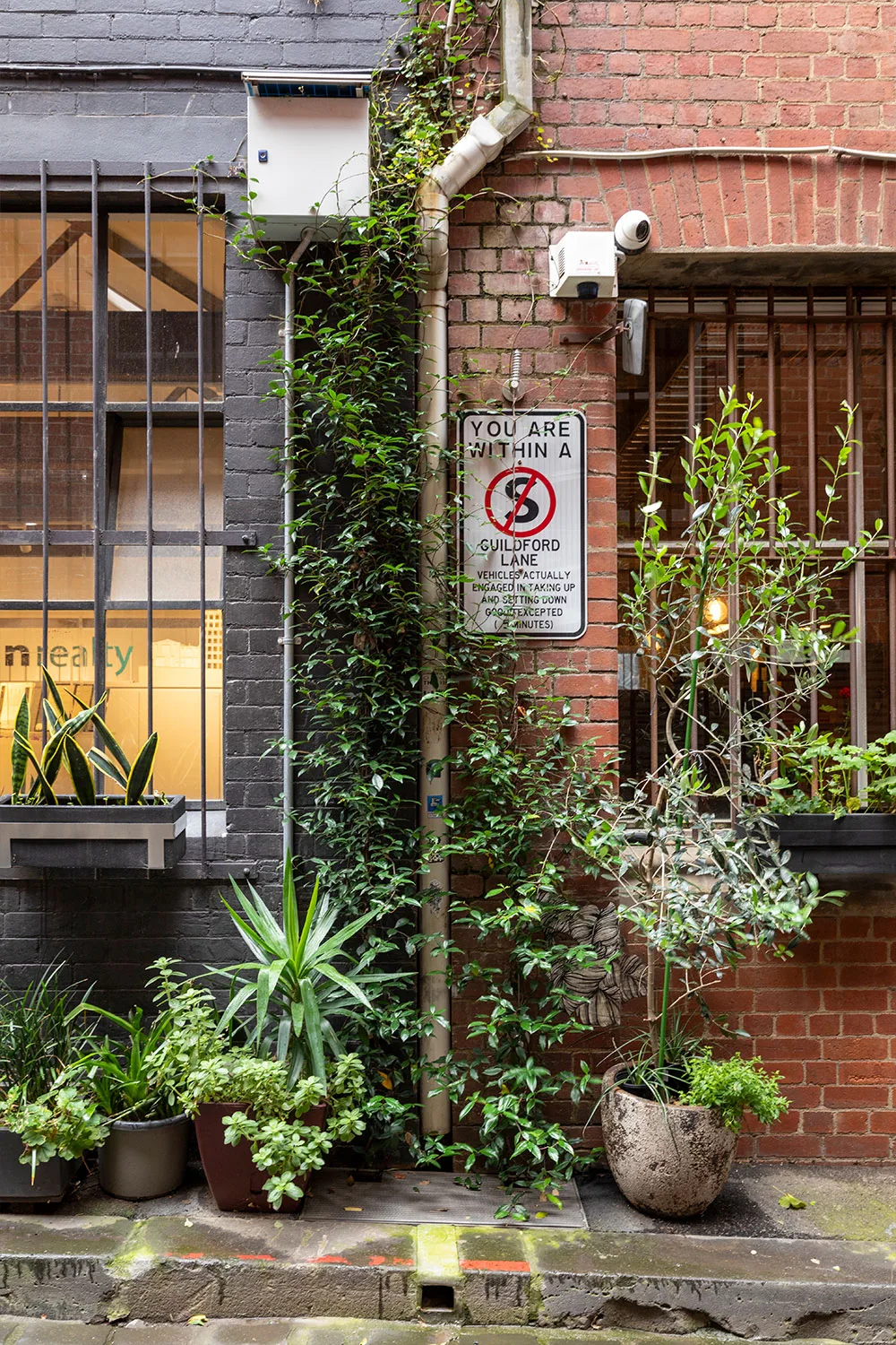 Melbourne green laneway