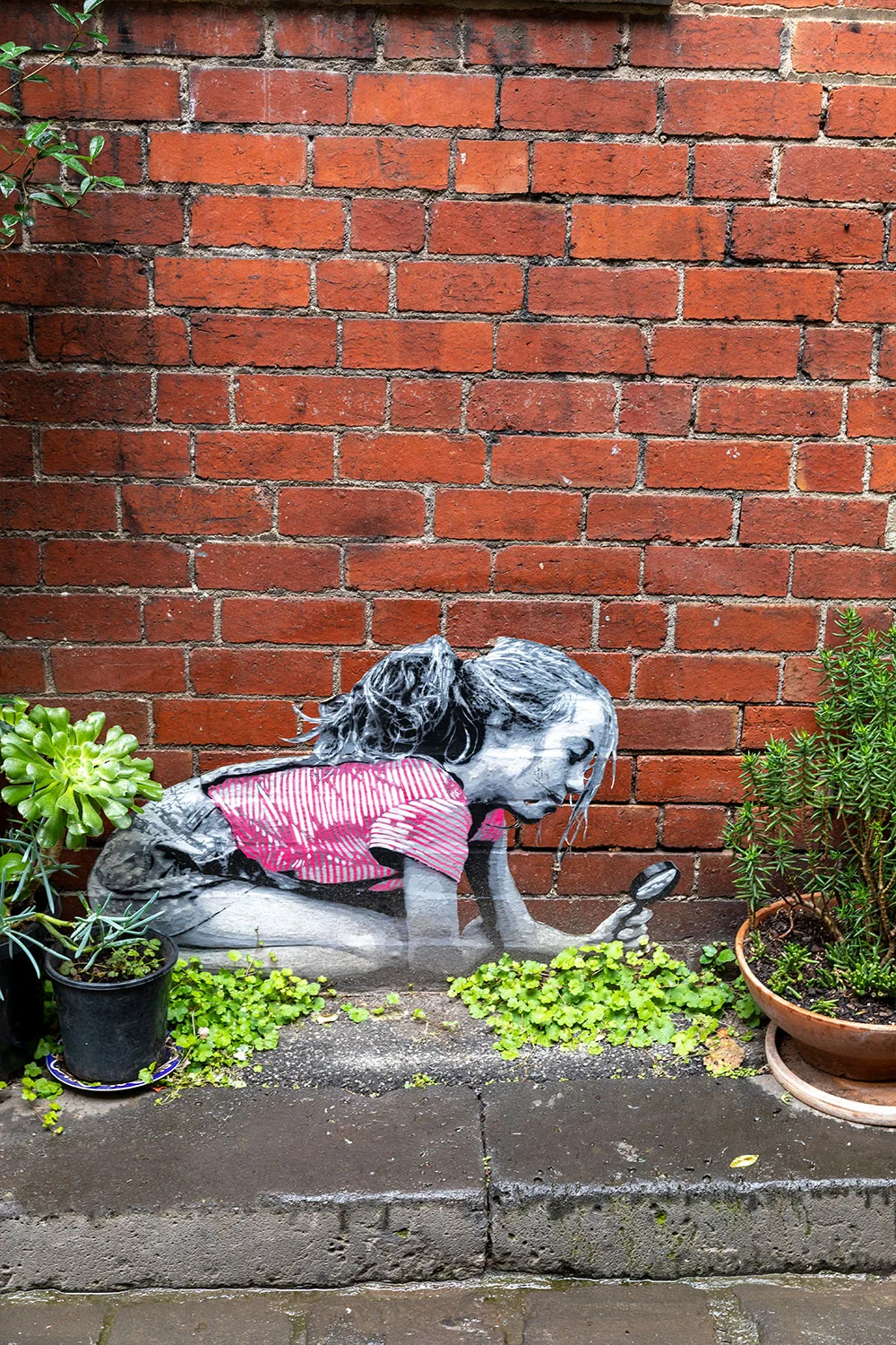 Street art and plants in Melbourne laneway