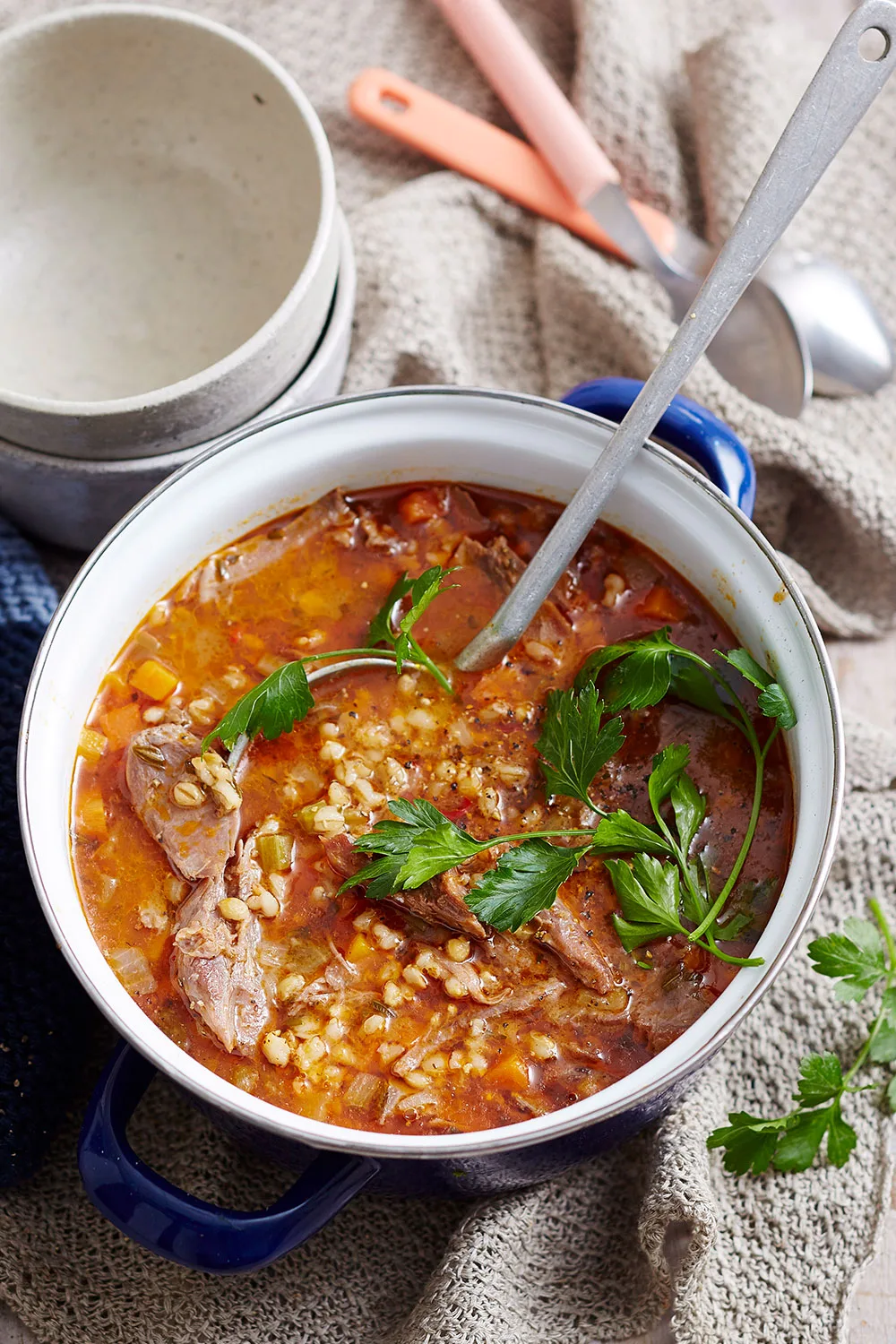 Lamb shank and barley soup