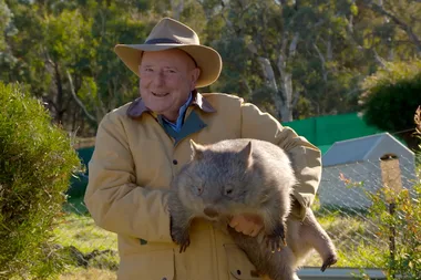 Dr Harry visits a wombat sanctuary