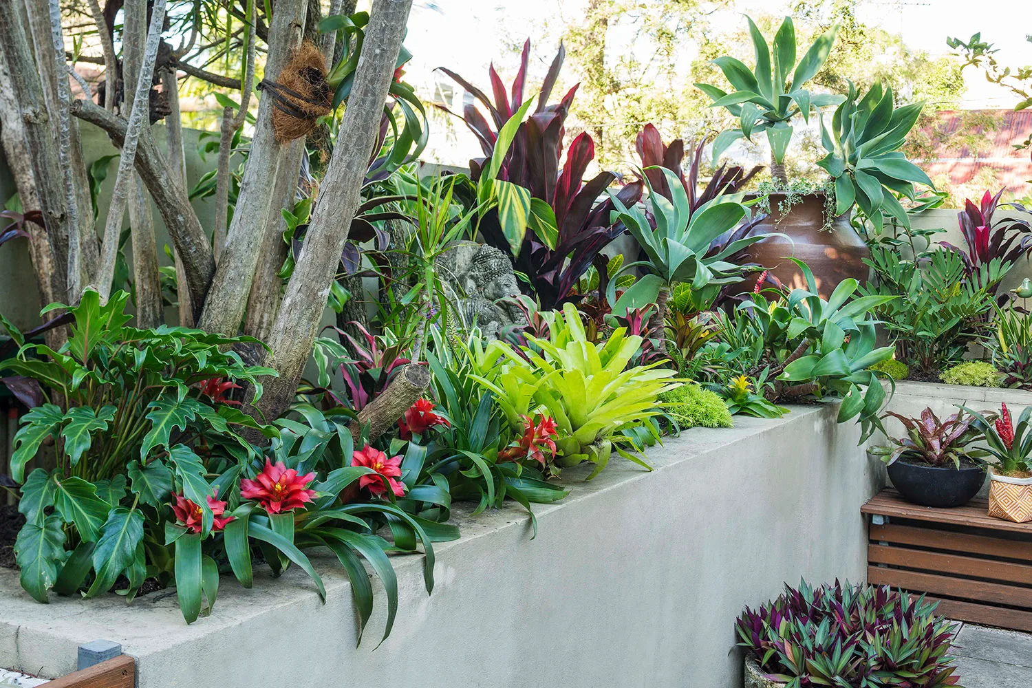 Tropical garden bed